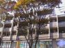 物件詳細 - 横浜市青葉区美しが丘5 たまプラーザ 3DK 賃貸マンション